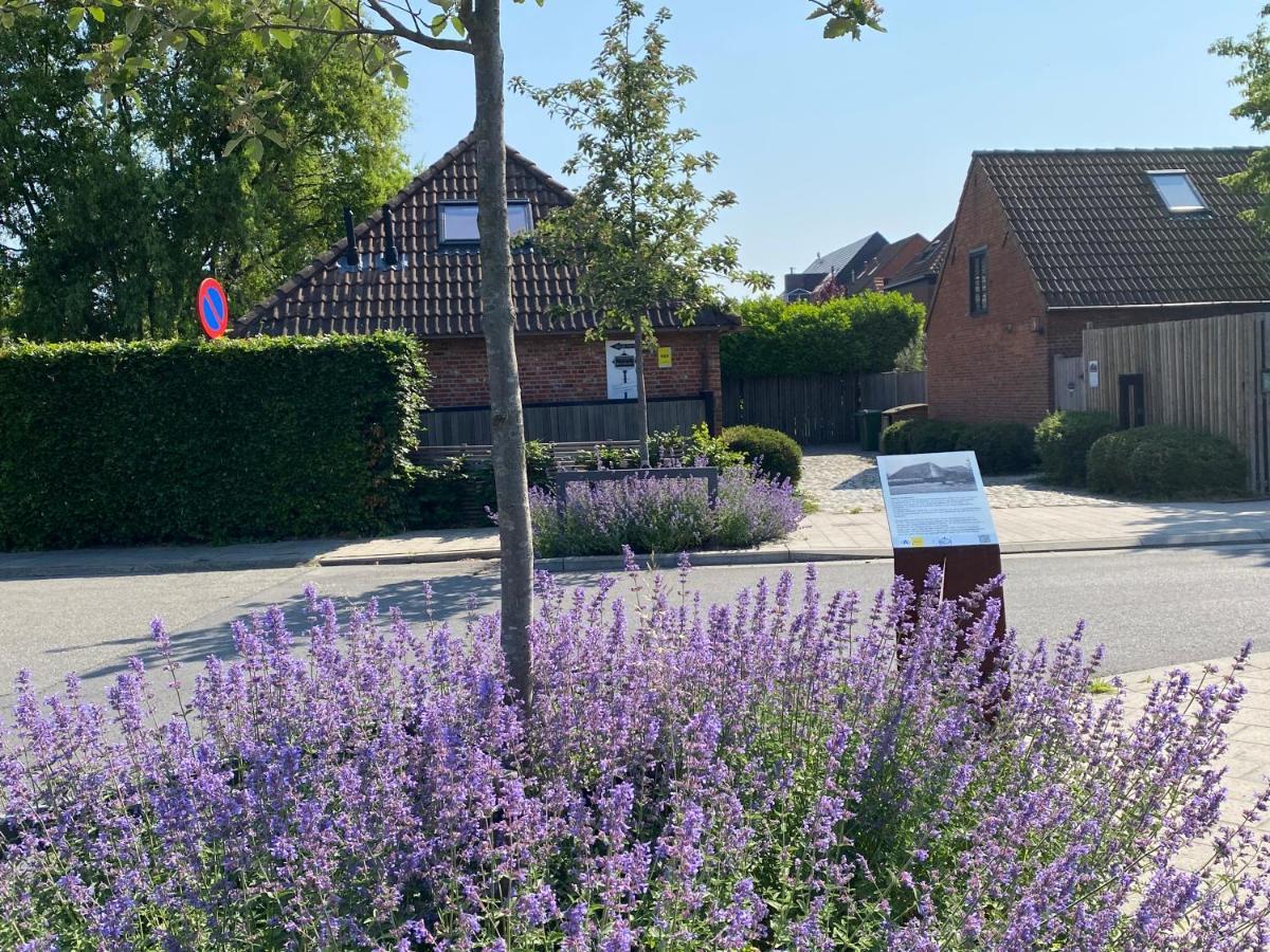 B&B Sint-Mariaburg Anvers Dış mekan fotoğraf